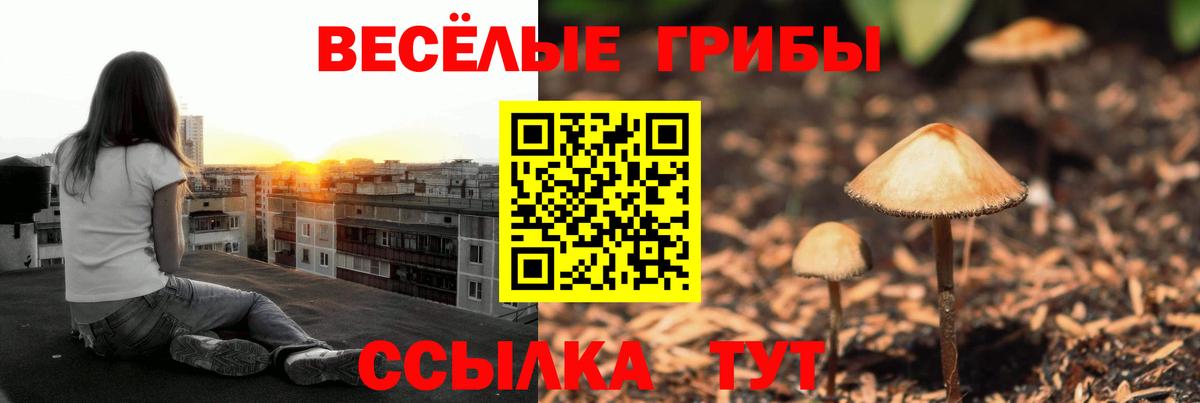 Элиста  Псилоцибиновые грибы мухоморы  Вход с VPN 